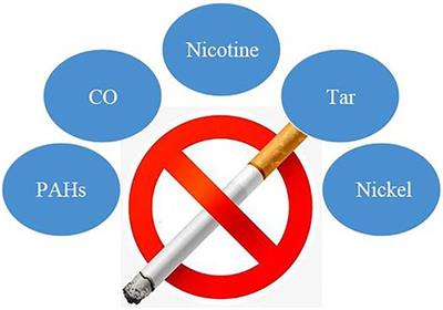 Combination effects of environmental tobacco smoke exposure and nutrients supplement during pregnancy on obesity in Chinese preschool children